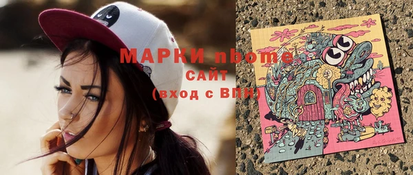 шишки Алзамай