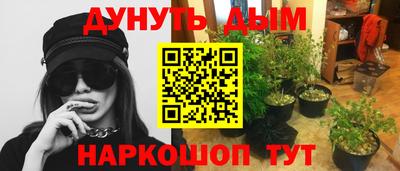 дживик Камышлов