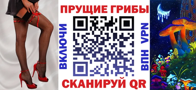 Галлюциногенные грибы Psilocybe  Ленинск-Кузнецкий 