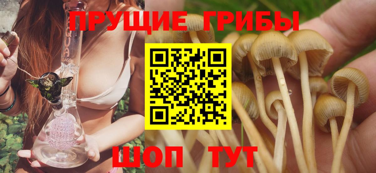 Галлюциногенные грибы Psilocybe  Галлюциногенные грибы Cubensis  Вход с VPN  Ленинск-Кузнецкий 