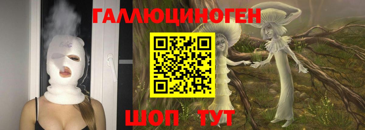 Галлюциногенные грибы GOLDEN TEACHER Ленинск-Кузнецкий